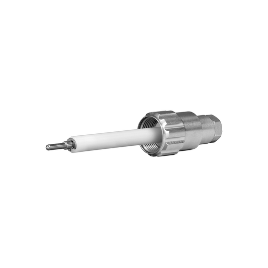 HS21/Au PTFE